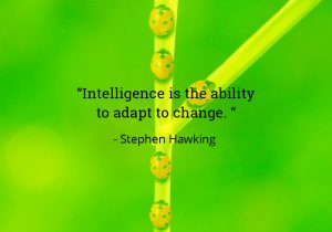 Intelligence is the ability to adapt to change - Stephen Hawkins